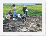 Workers at Archeological Dig at Port au Choix * 2592 x 1944 * (1.91MB)